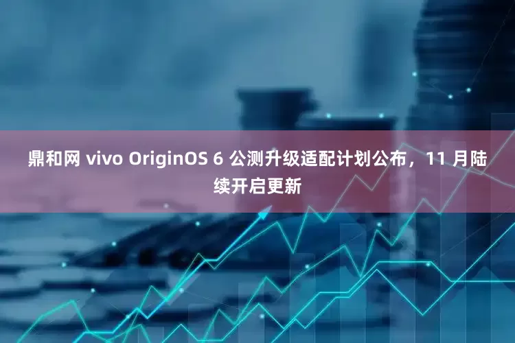 鼎和网 vivo OriginOS 6 公测升级适配计划公布，11 月陆续开启更新